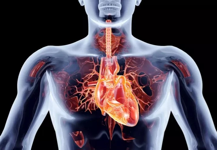 Ürək dayanmasının erkən əlamətləri - bir gün əvvəl nə hiss edirsiniz?