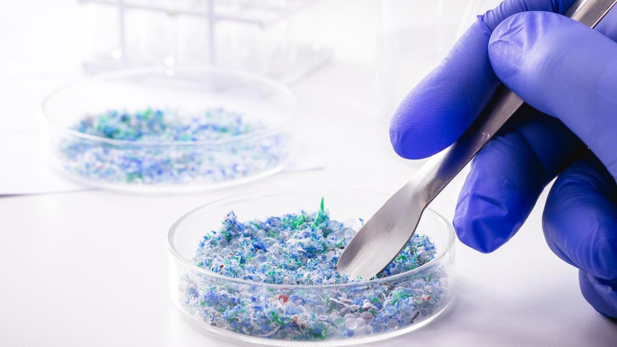 Mikroplastik təhlükəsi - Körpələr daha çox risk altındadır