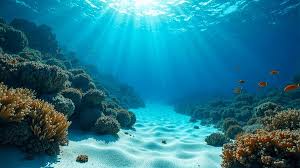 Okeanın dibində sirli yol aşkarlandı: "Sarı kərpic cığır" hər kəsi heyrətləndirdi