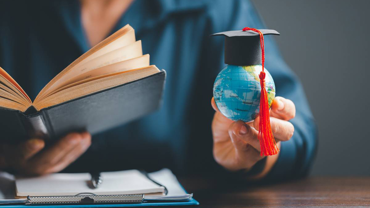 DP məzunlarının 80 faizi işlə təmin olunub