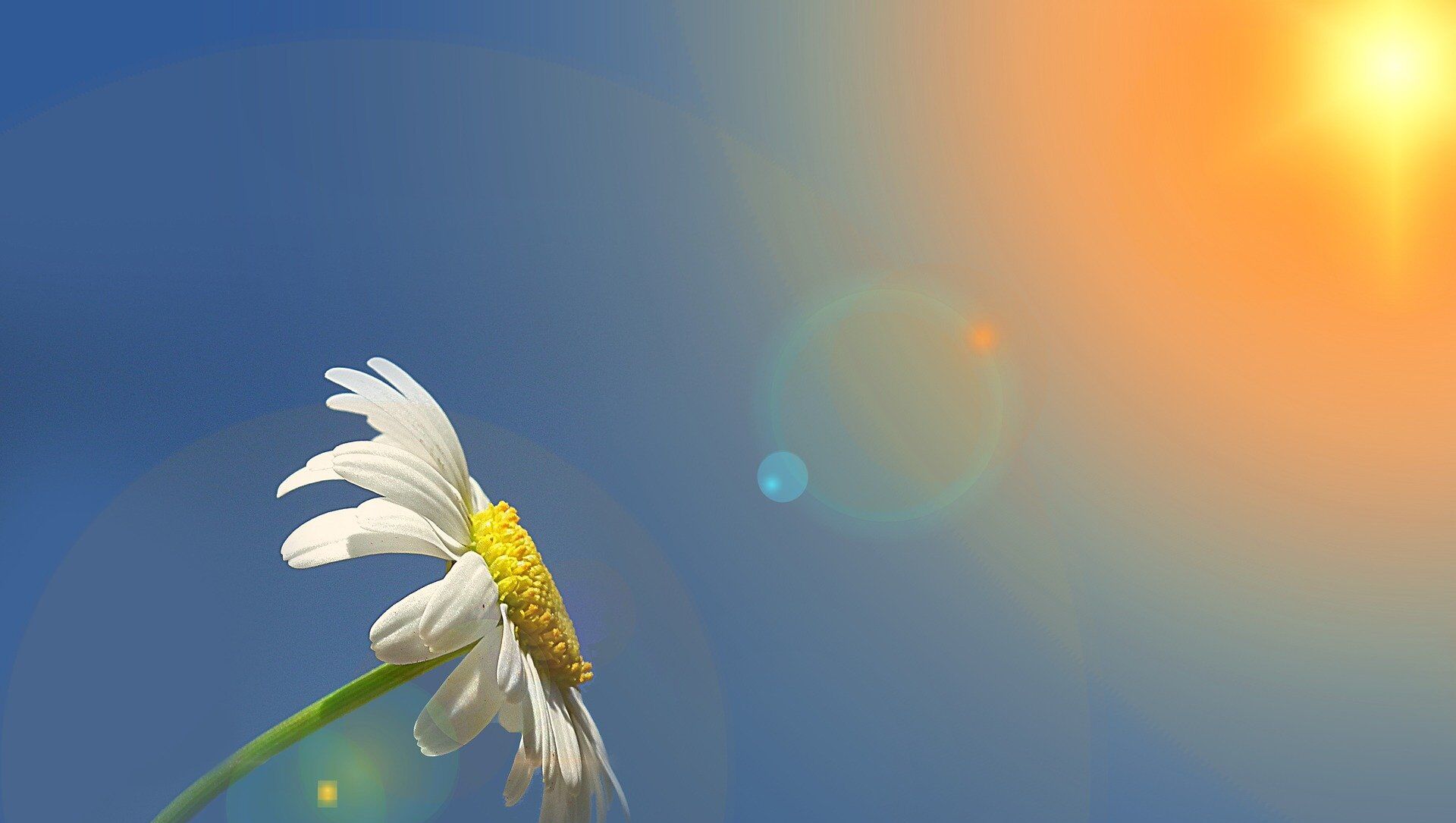 Sabah 21 dərəcə isti olacaq