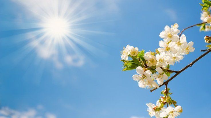 Sabah 22 dərəcə isti olacaq