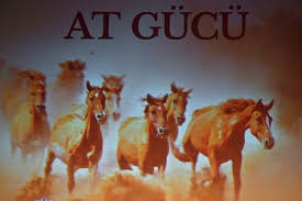 Nizami Kino Mərkəzində "At gücü" sənədli filmi təqdim olunub