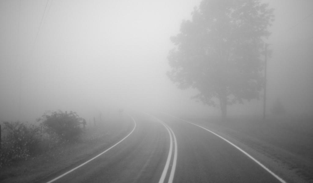 Sabah yollarda duman səbəbindən hərəkət çətinləşəcək