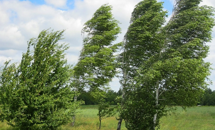Bu yerlərdən uzaq durun - Nazirlikdən külək XƏBƏRDARLIĞI