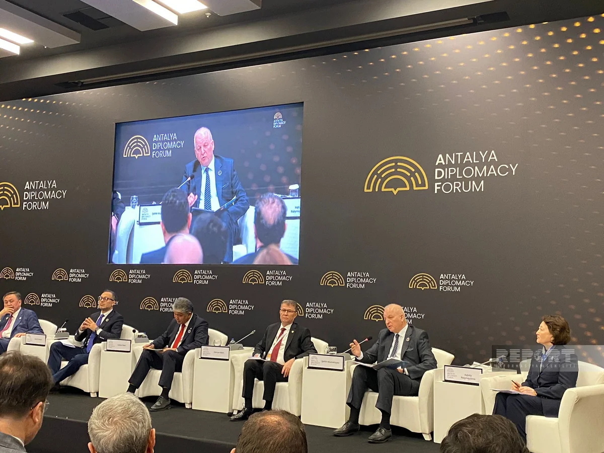 Şahin Mustafayev: Türk Akademiyasının ən mühüm layihəsi ortaq türk tarixinin yazılmasıdır