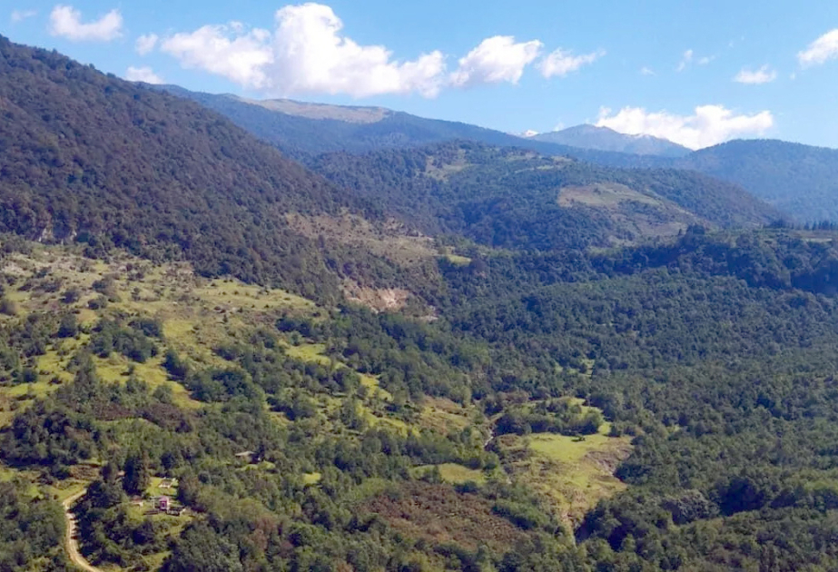 Gürcüstanda 94 qorunan ərazi var və bunlardan 15-i milli parkdır