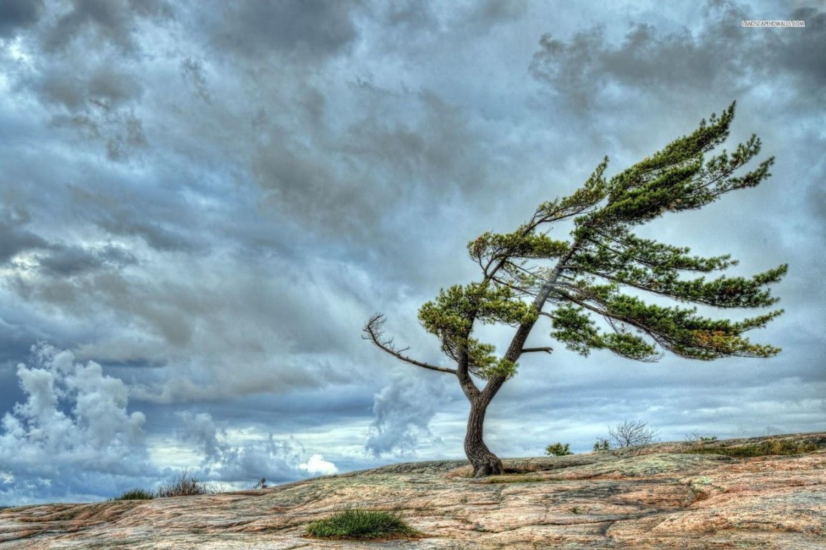 Bəzi ərazilərdə külək güclənib, yağış yağır