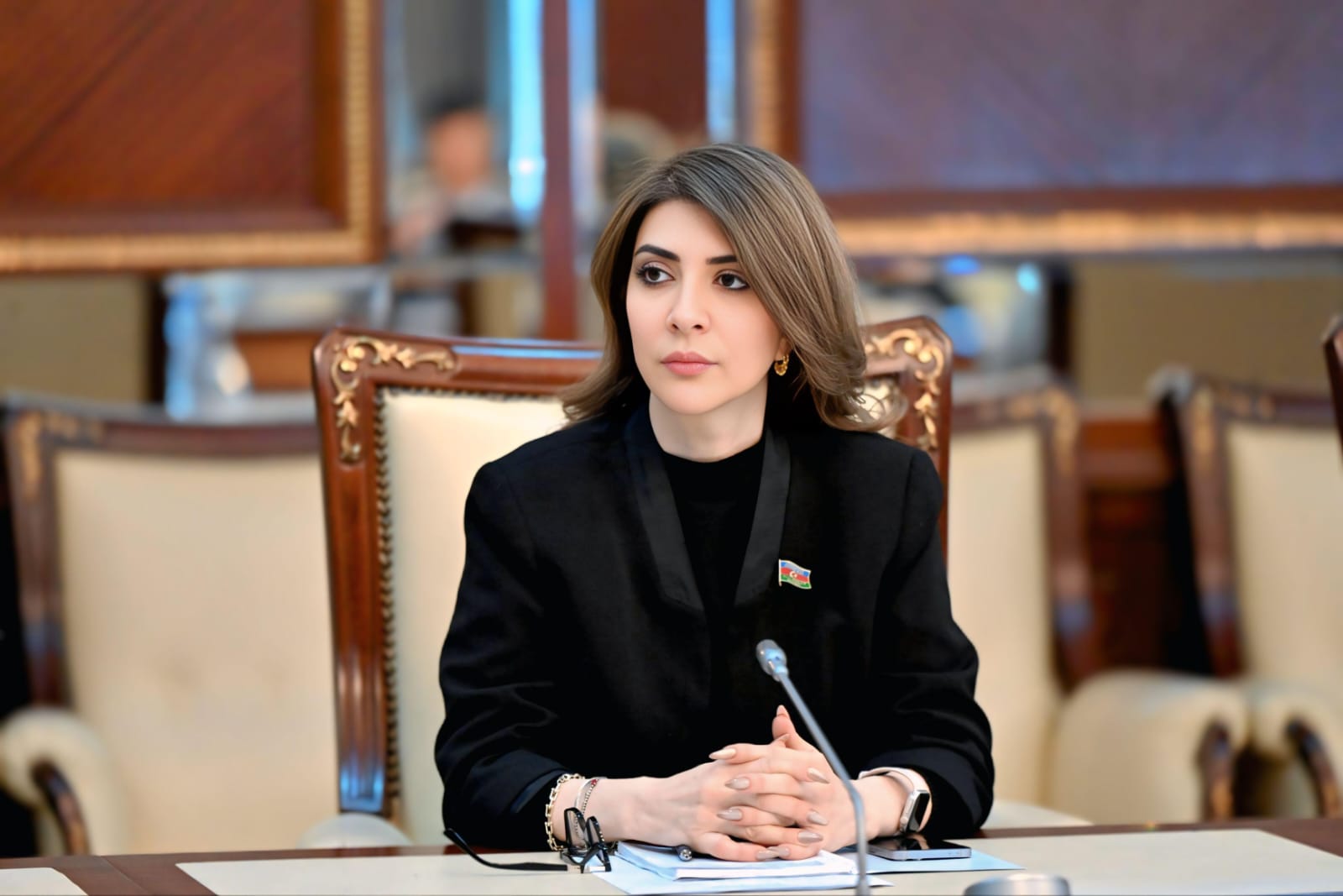 Günay Ağamalı: “Qanunların hazırlanmasında analitik mexanizmlər və ictimai iştirak əsas rol oynayır”