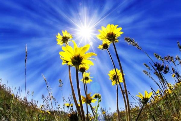 Sabah 25 dərəcə isti olacaq