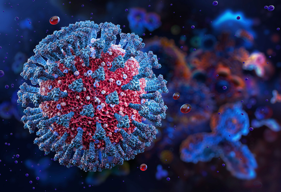 Alimlər koronavirusların hüceyrələrə yeni nüfuz etmə mexanizmini aşkar ediblər