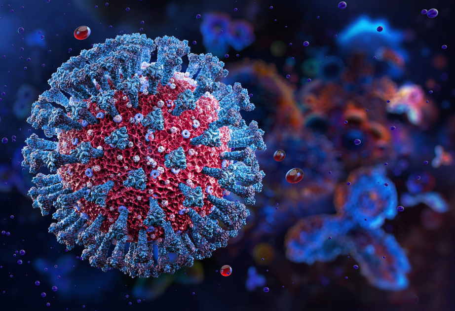 Tədqiqat: Koronavirus insan hüceyrələrinə yeni üsulla daxil olur