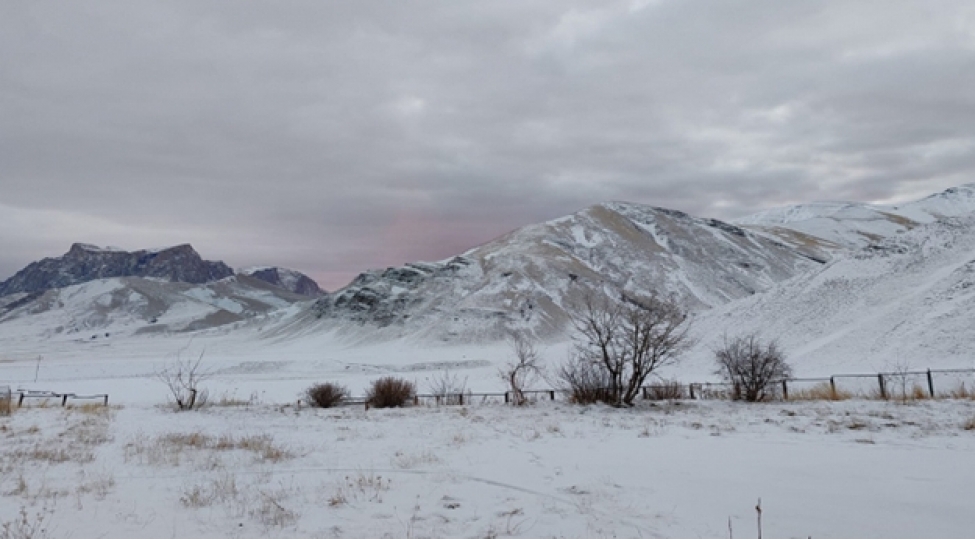 Daşkəsən və Gədəbəyə qar yağır