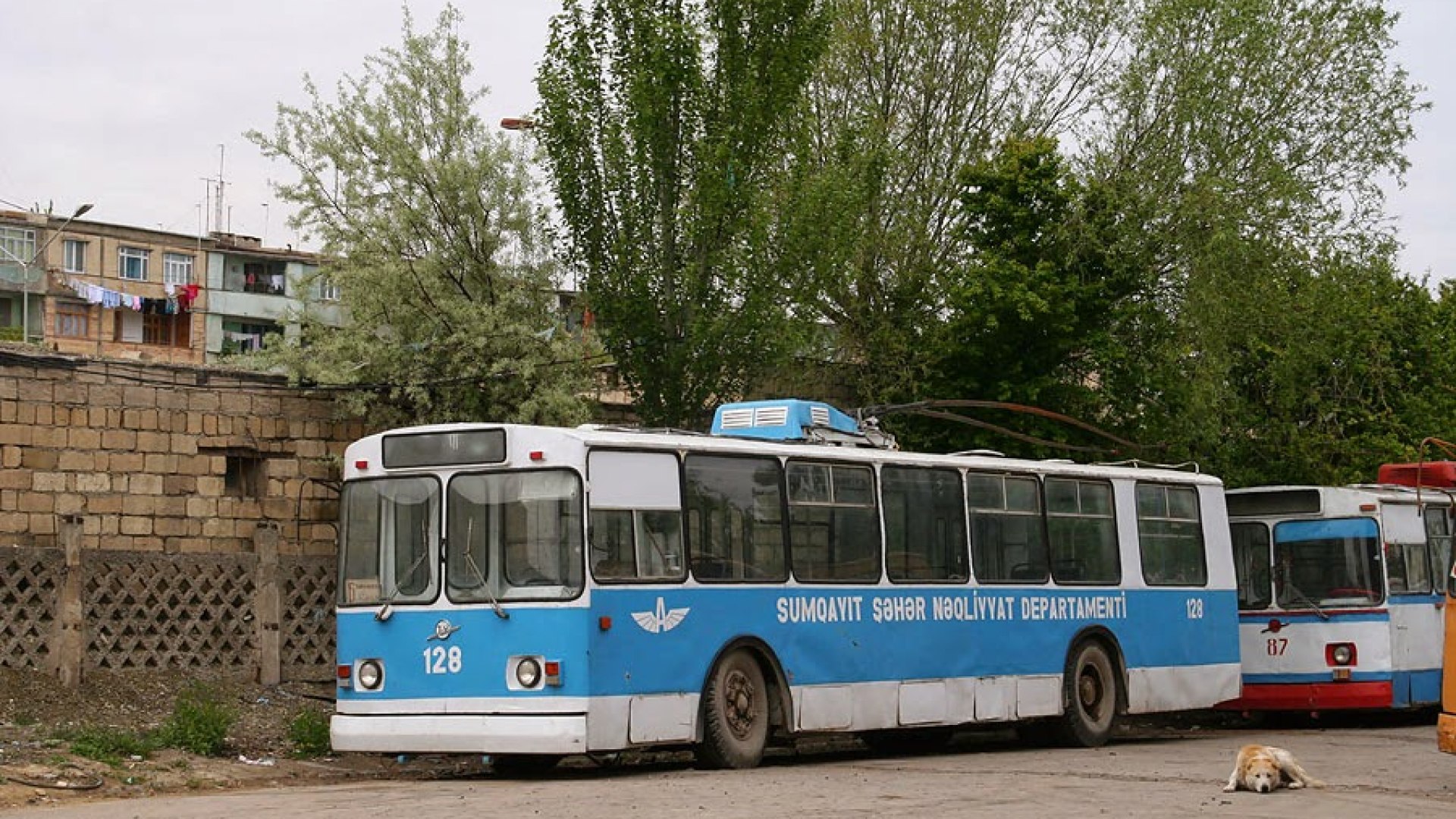 Sumqayıtda trolleybus nəqliyyat sistemi istifadəyə verilib