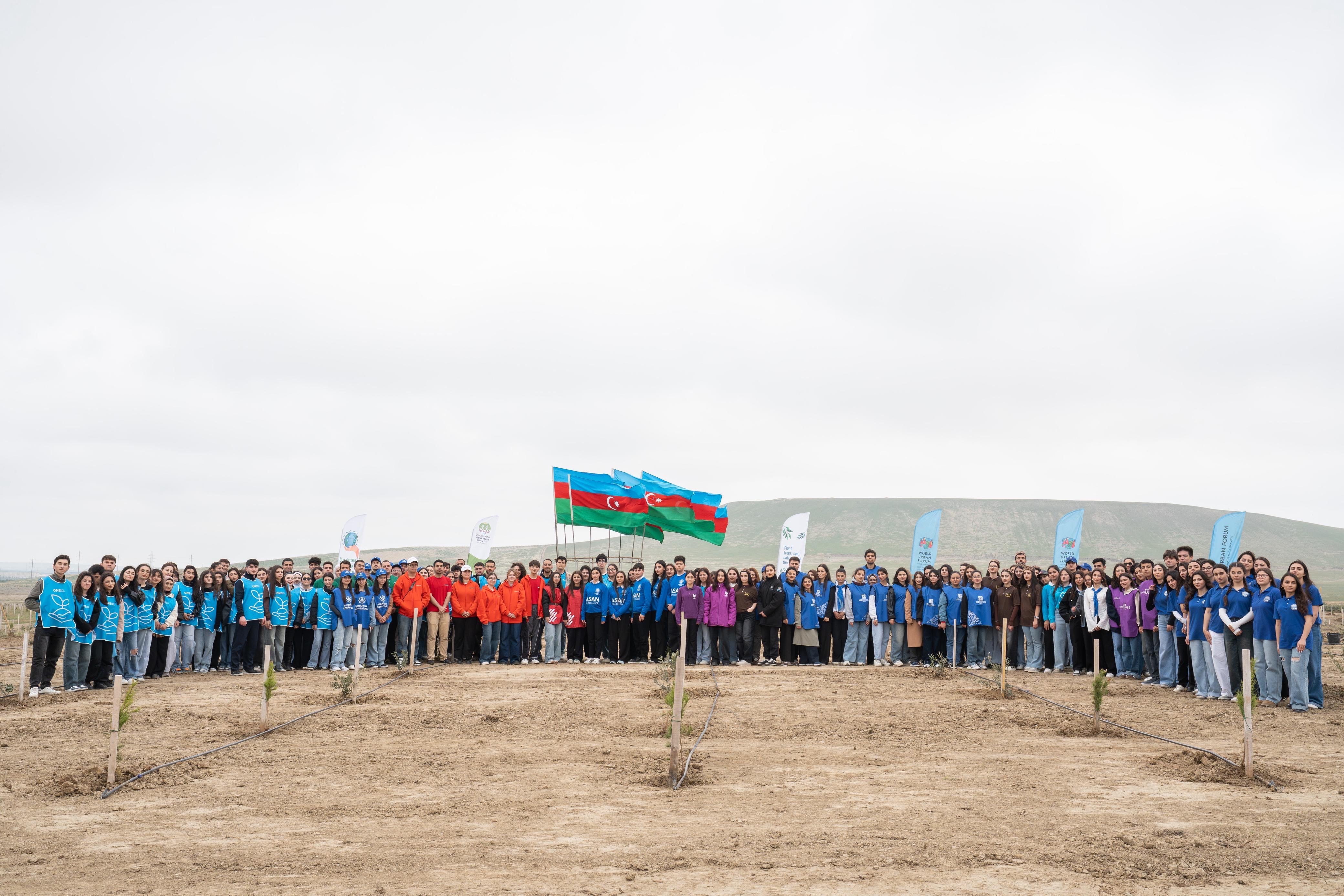 BDU könüllüləri ağacəkmə aksiyasında iştirak ediblər