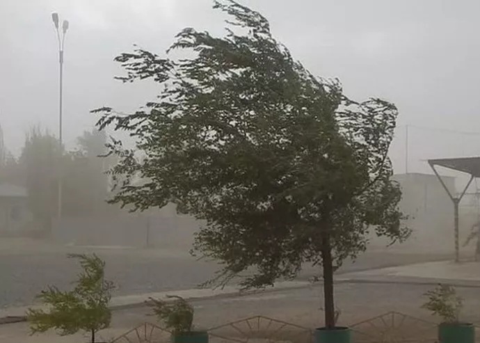 Bu günə olan hava proqnozu 