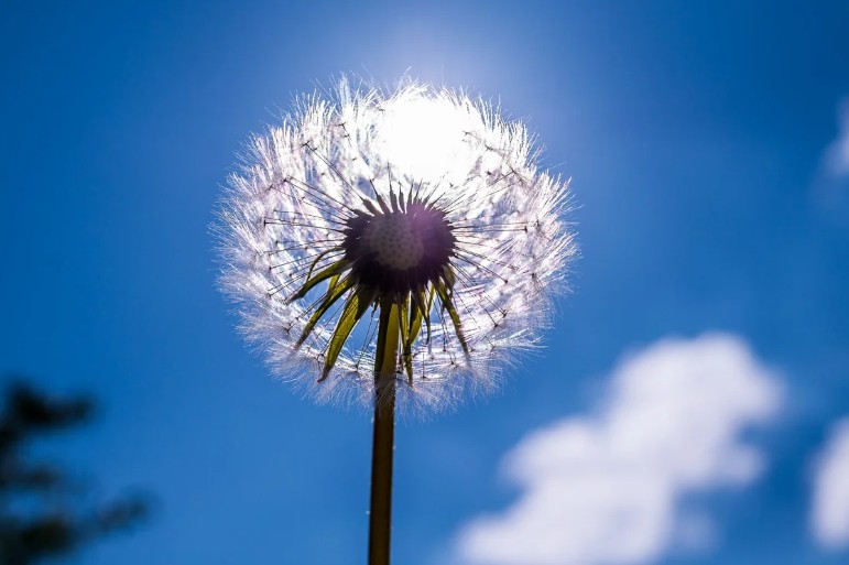 May ayının bəzi günləri Bakıda 32 dərəcə isti olacaq - AYLIQ PROQNOZ