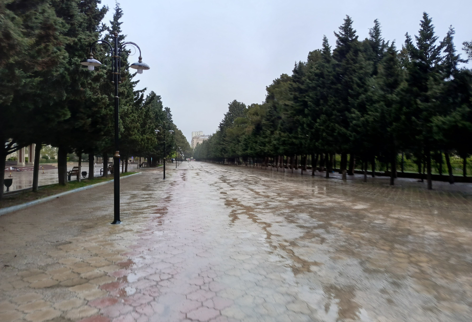 Coğrafiyaçı-alim intensiv yağıntıların təsirindən danışıb