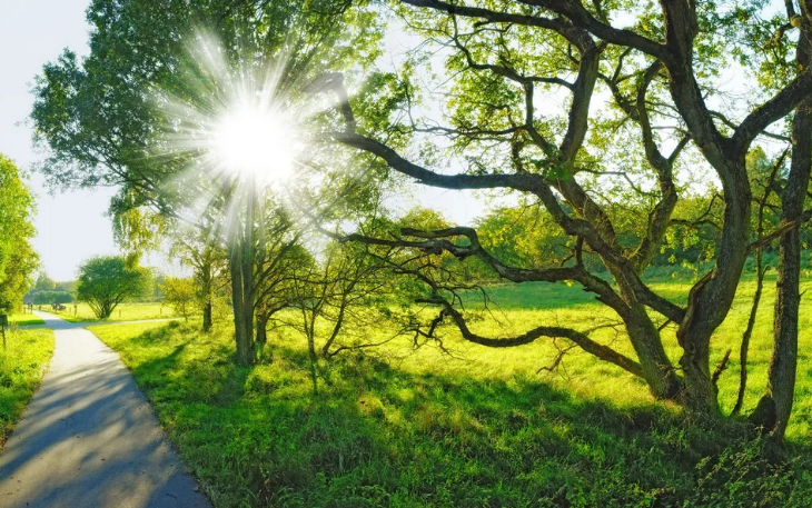 Apreldə Bakı və Abşeronda temperatur 21 gün normadan yuxarı olub - RƏSMİ