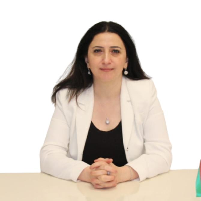 "Sosial şəbəkələr çox vaxt gənclərə mənfi təsir edə bilir"- Psixoloq Mələk Kərimova