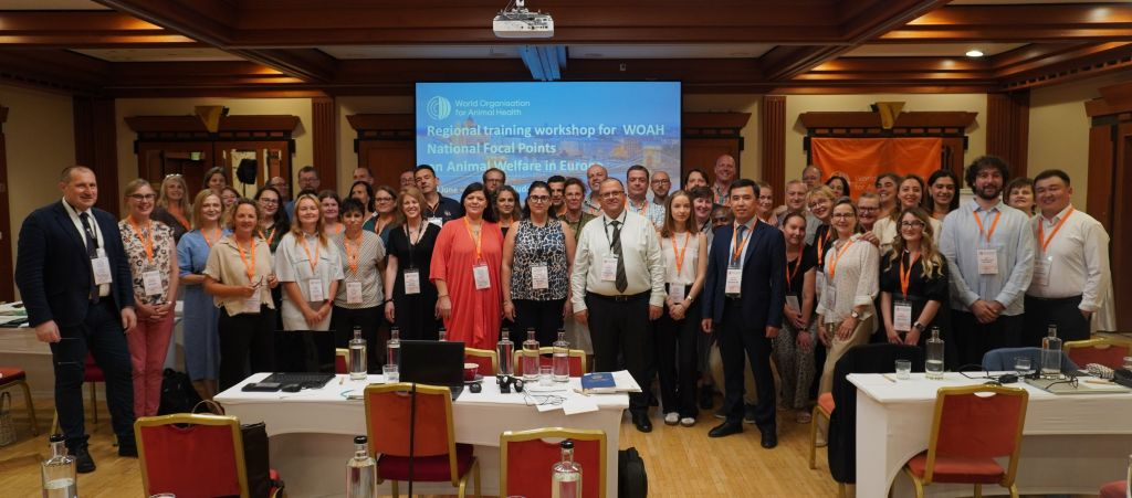 Fakültə dekanı WOAH-ın Avropa üzrə regional təlim seminarında  