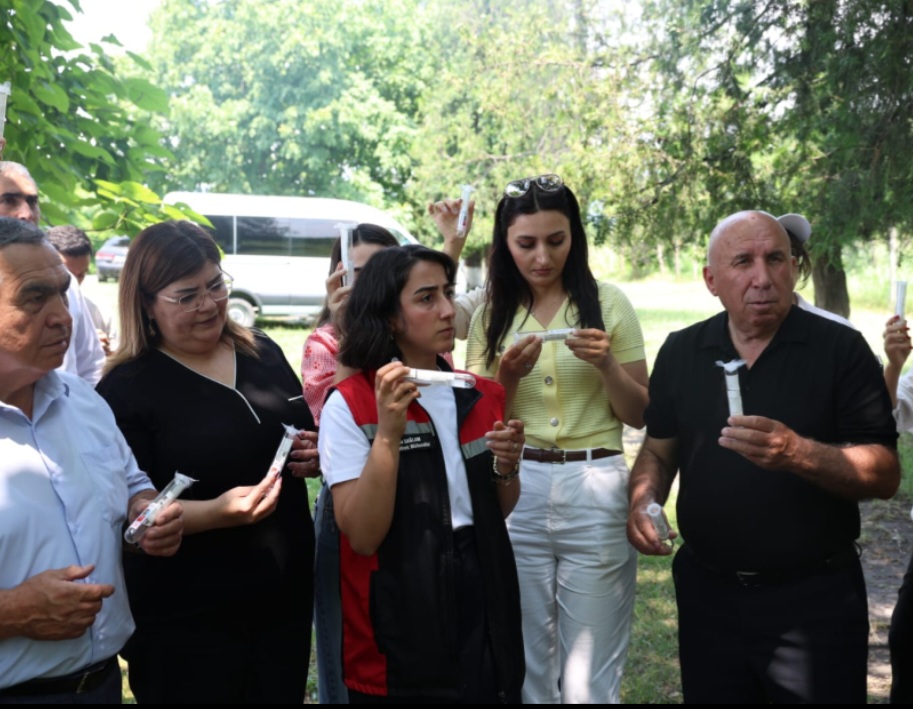 Samuray arıları meşə zolaqlarına da buraxılıb