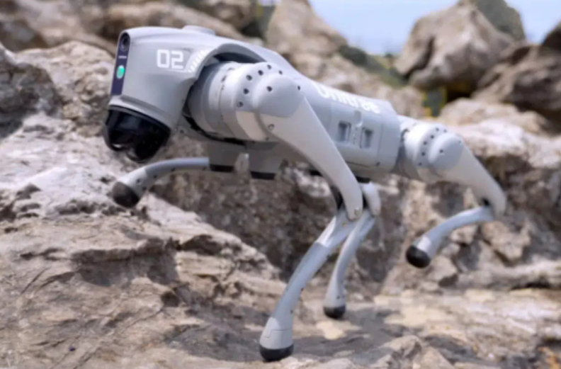 Qazaxıstanda ilk dəfə süni intellektə malik robot-it qanunu pozanları aşkarlayıb