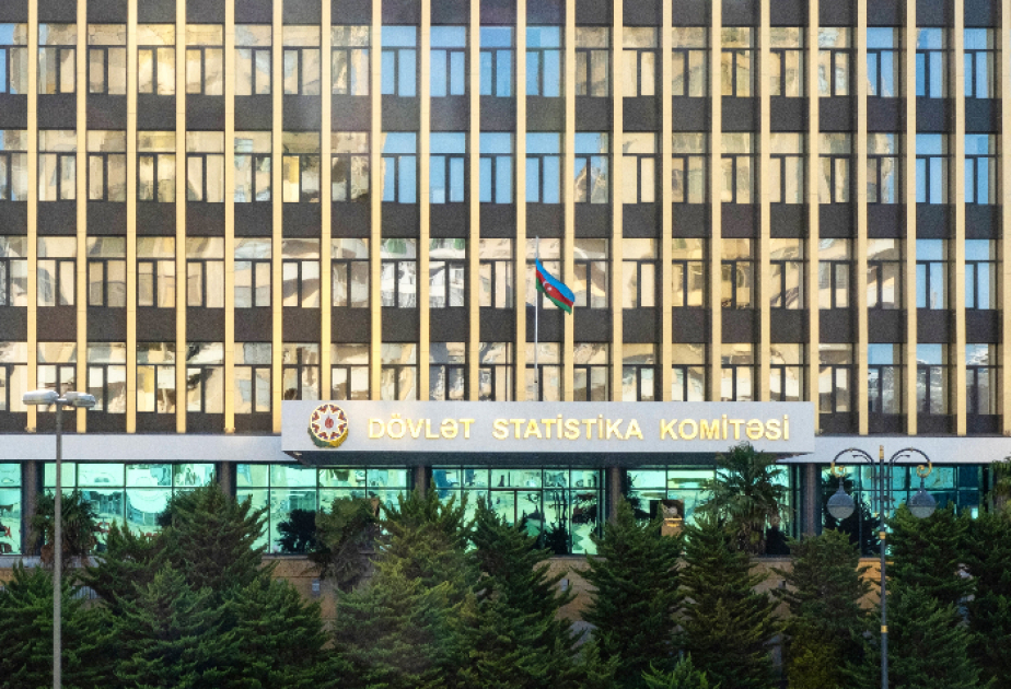 Azərbaycanda doğum azalıb, ölüm göstəricisi cüzi artıb