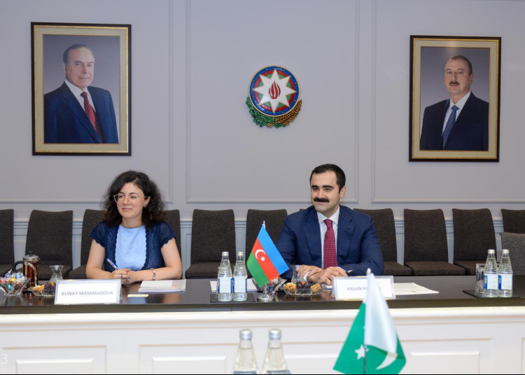 Elm və təhsil nazirinin müavini Pakistanın dövlət naziri ilə görüşüb