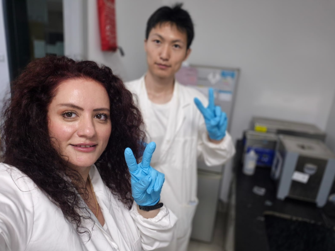 Fizika və elektronika departamentinin müdiri Çində beynəlxalq elmi əməkdaşlıq çərçivəsində tədqiqatda