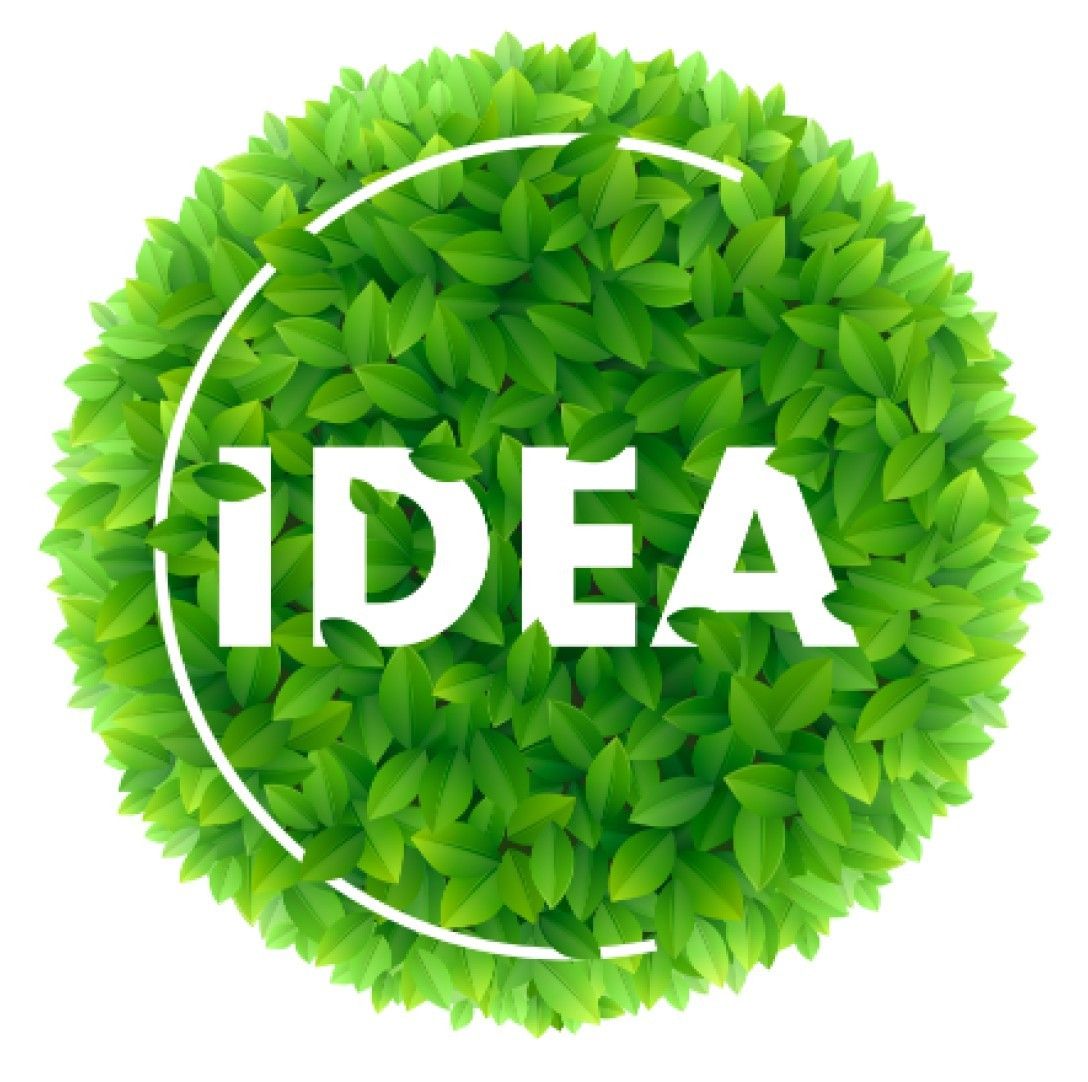 IDEA-nın təşəbbüsü ilə növbəti təlim proqramı təşkil olunub
