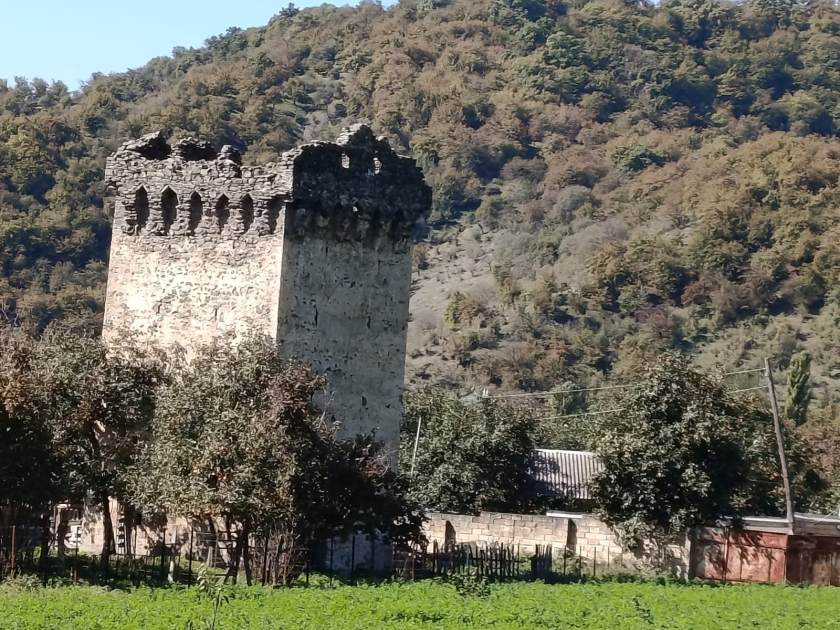 Edinburq və Kembric universitetlərinin alimləri Katex kəndində tədqiqat aparıblar