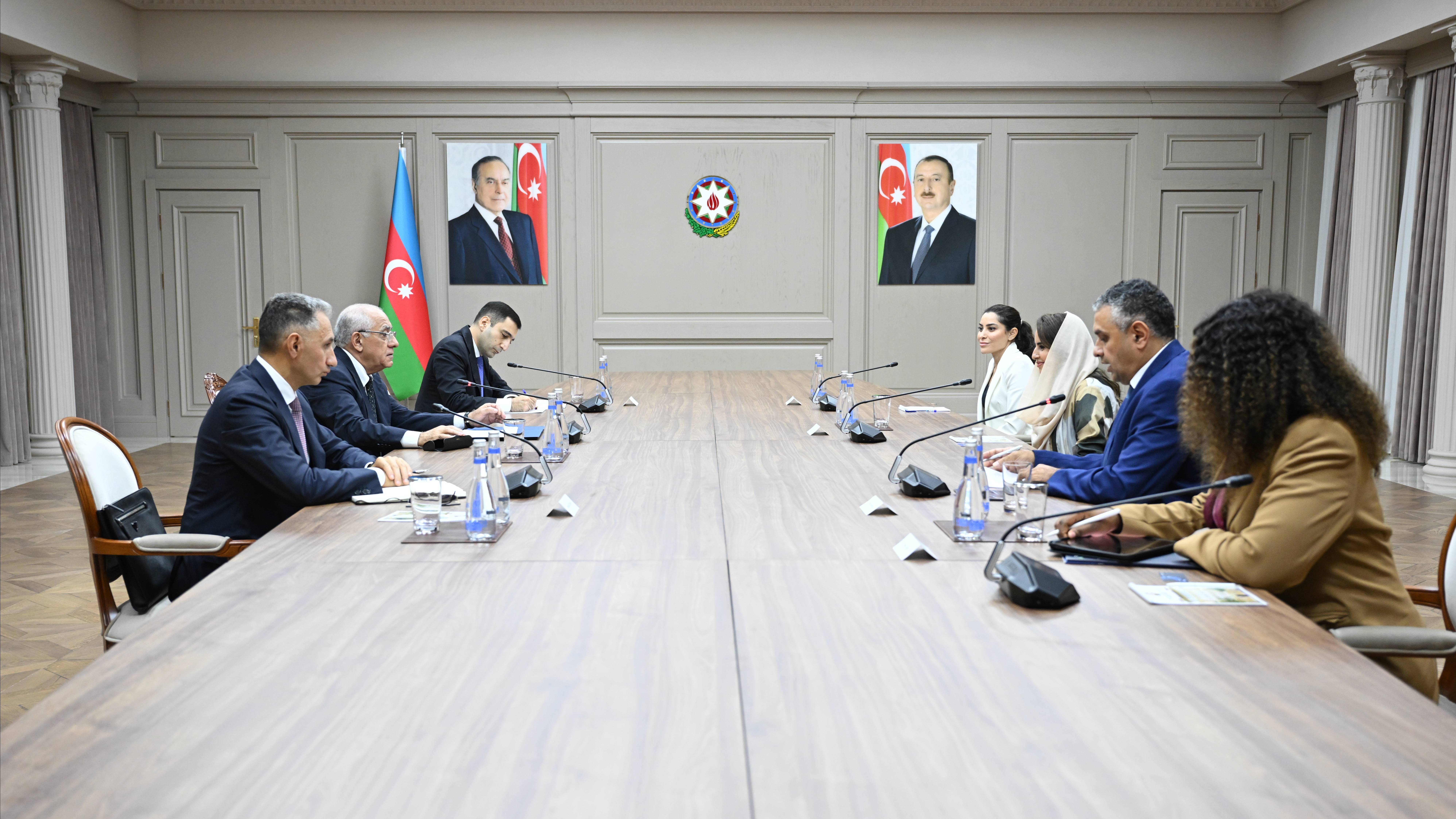 Baş nazir Əli Əsədov Rəqəmsal Əməkdaşlıq Təşkilatının Baş katibi ilə görüşüb