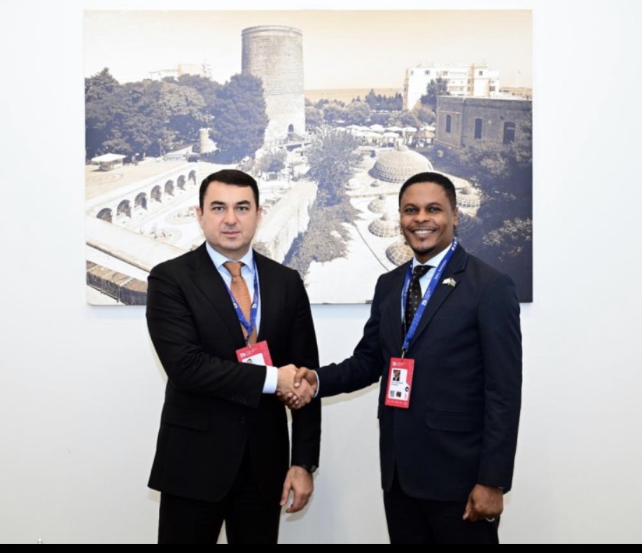 Azərbaycan ilə Somali arasında mədəniyyət sahəsində əməkdaşlıq məsələləri müzakirə olunub